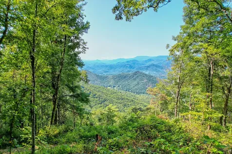 Tbd Buck Knob Road Scaly Mountain NC 28775