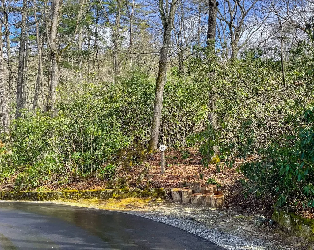 Lot 18 Saratay Falls Road Cashiers NC 28741