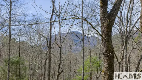 Lot 18 Saratay Falls Road Cashiers NC 28741