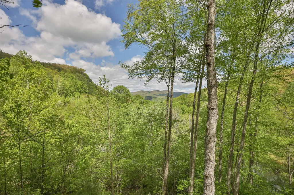 3605 Pilot Knob Road Glenville NC 28736