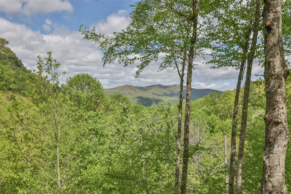 3605 Pilot Knob Road Glenville NC 28736