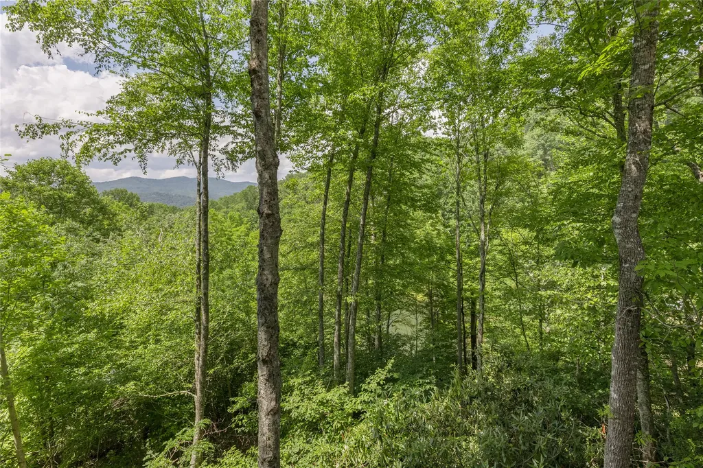 3605 Pilot Knob Road Glenville NC 28736