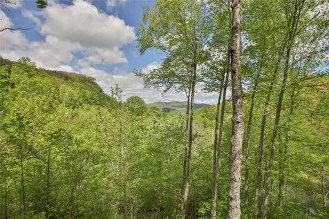 3605 Pilot Knob Road Glenville NC 28736