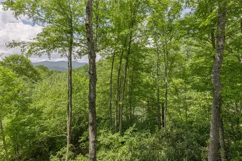 3605 Pilot Knob Road Glenville NC 28736