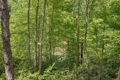 3605 Pilot Knob Road Glenville NC 28736