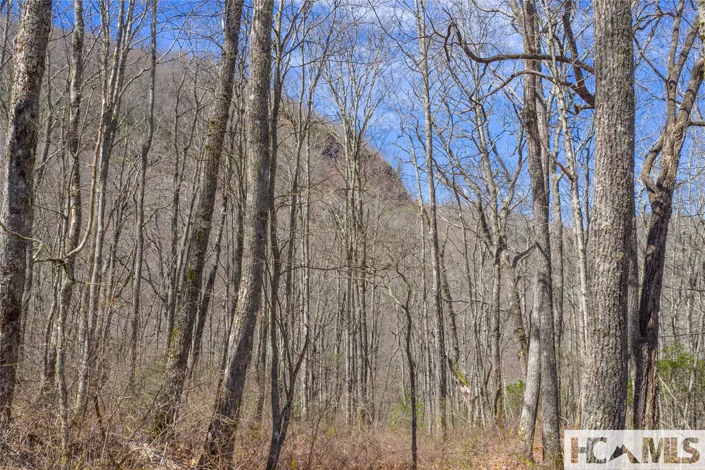 Lot 10 Trailhead Way Glenville NC 28736
