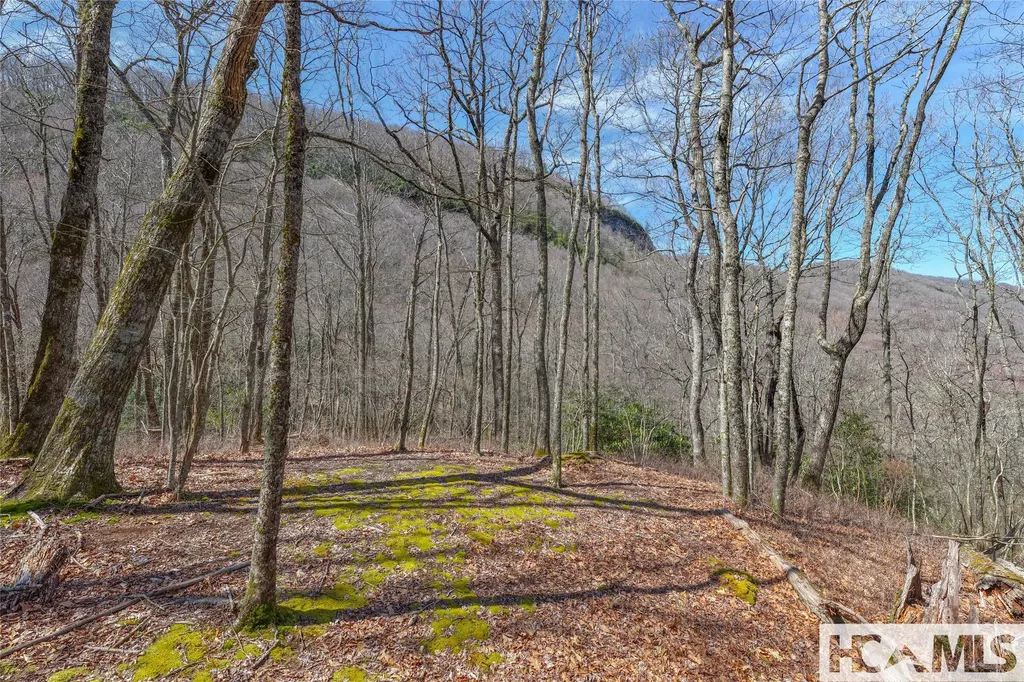 Lot 10 Trailhead Way Glenville NC 28736