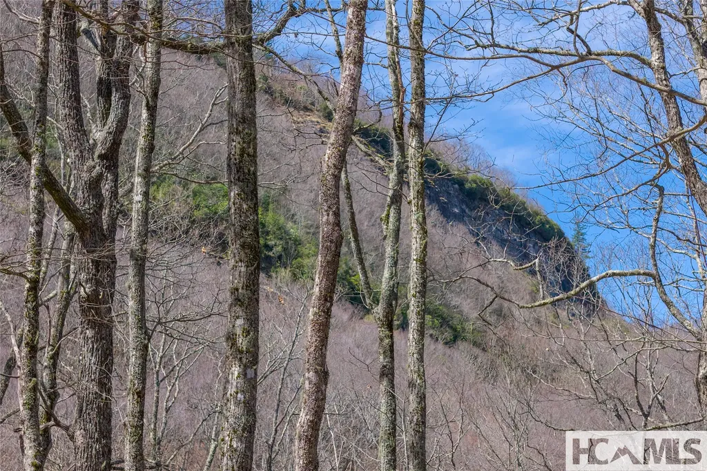 Lot 10 Trailhead Way Glenville NC 28736