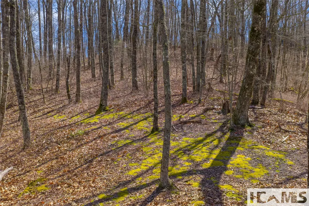 Lot 10 Trailhead Way Glenville NC 28736