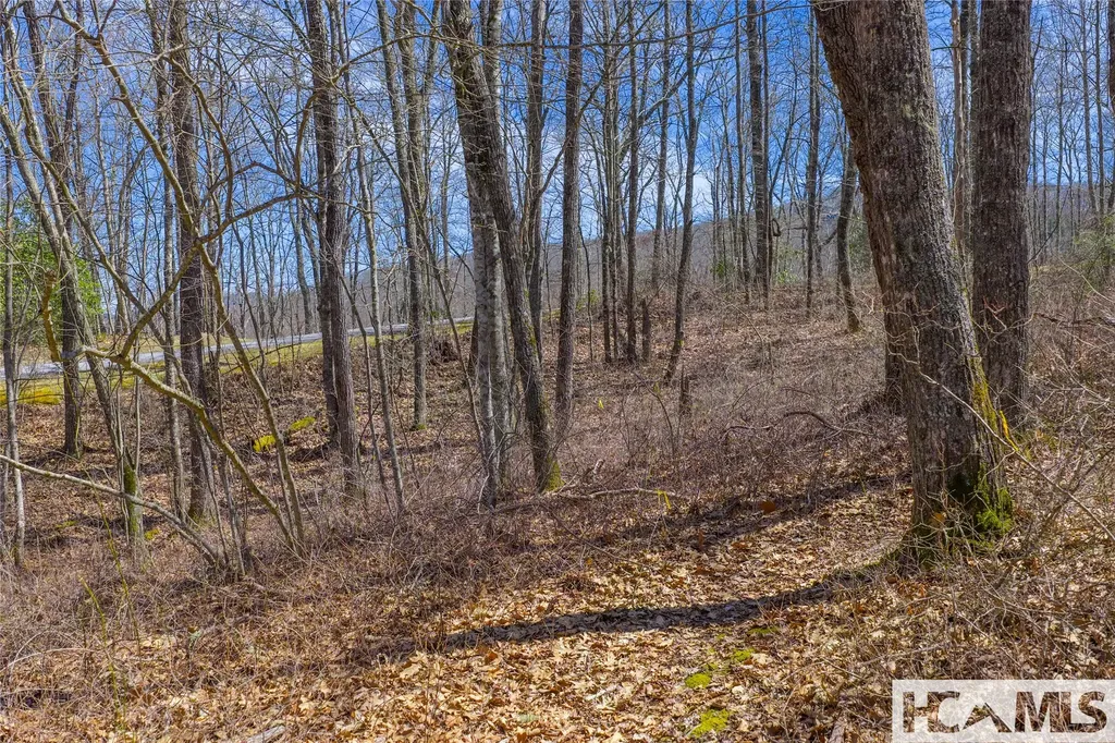 Lot 10 Trailhead Way Glenville NC 28736