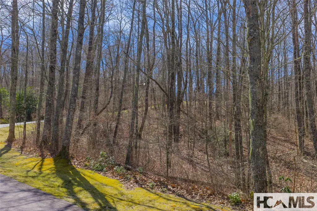Lot 10 Trailhead Way Glenville NC 28736