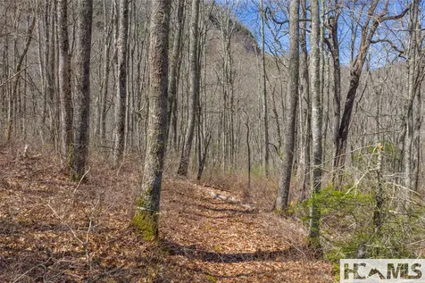 Lot 10 Trailhead Way Glenville NC 28736