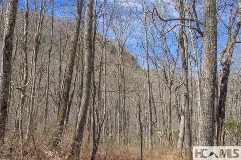 Lot 10 Trailhead Way Glenville NC 28736