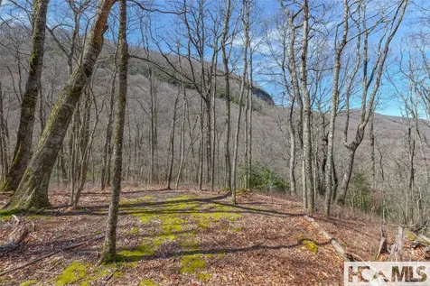 Lot 10 Trailhead Way Glenville NC 28736