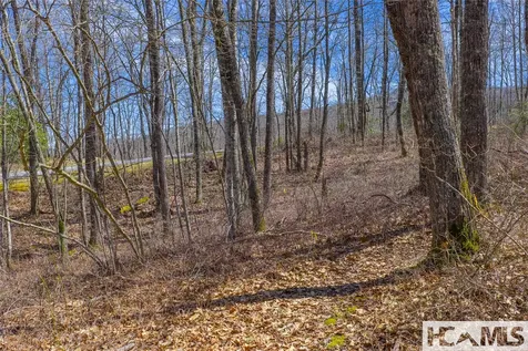 Lot 10 Trailhead Way Glenville NC 28736