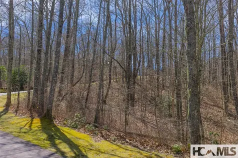 Lot 10 Trailhead Way Glenville NC 28736