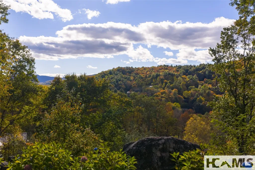139 Stinger Ridge Glenville NC 28736