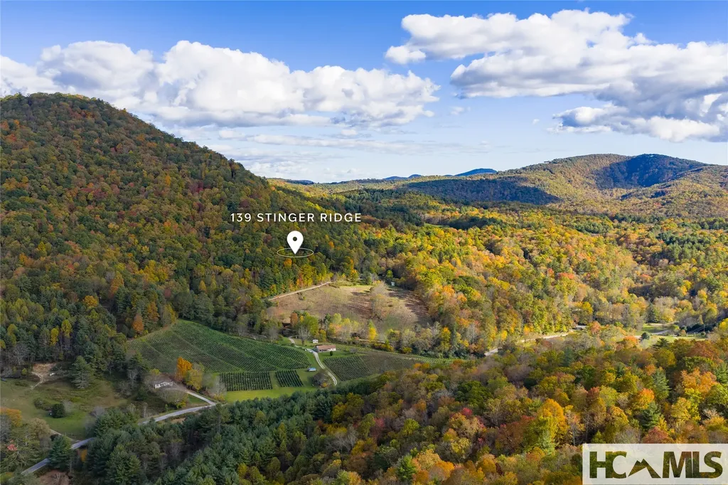 139 Stinger Ridge Glenville NC 28736