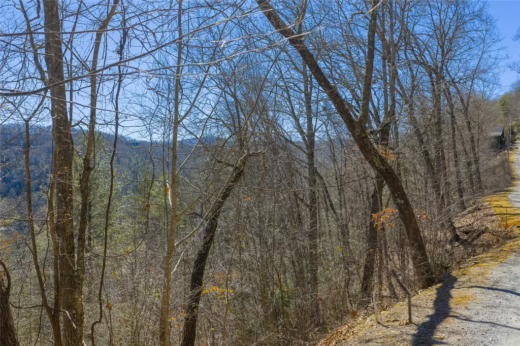 Lot 33 Wild Blackberry Ridge Cullowhee NC 28723