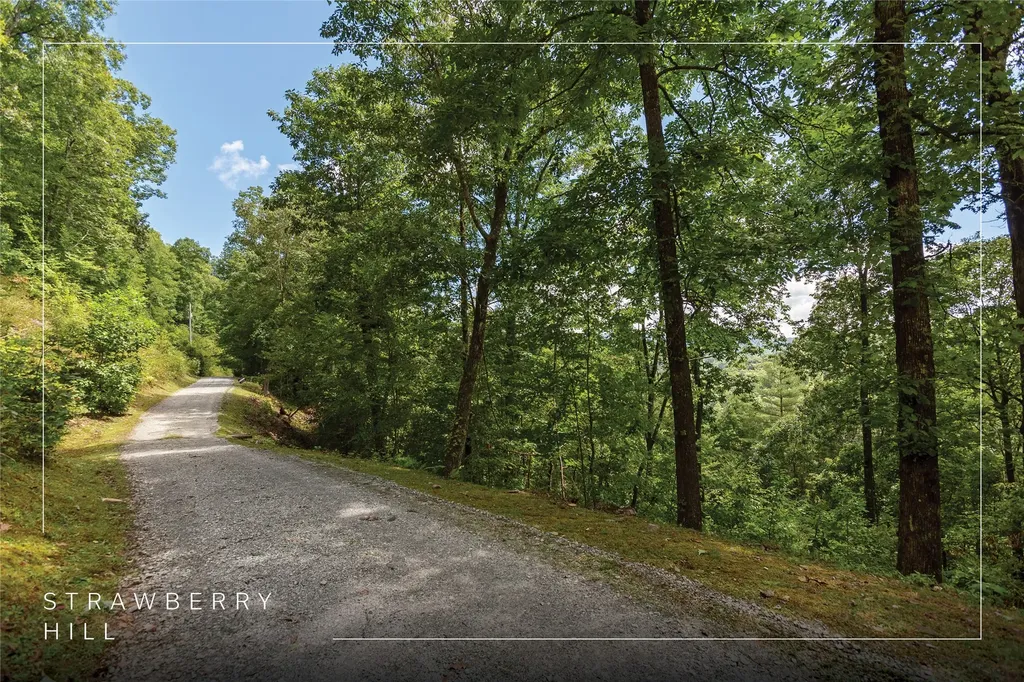 Lot 33 Wild Blackberry Ridge Cullowhee NC 28723