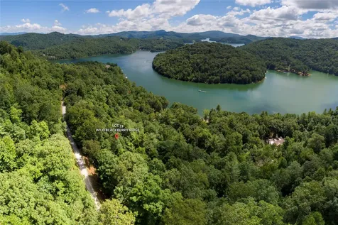 Lot 33 Wild Blackberry Ridge Cullowhee NC 28723