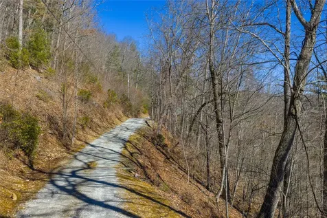 Lot 33 Wild Blackberry Ridge Cullowhee NC 28723
