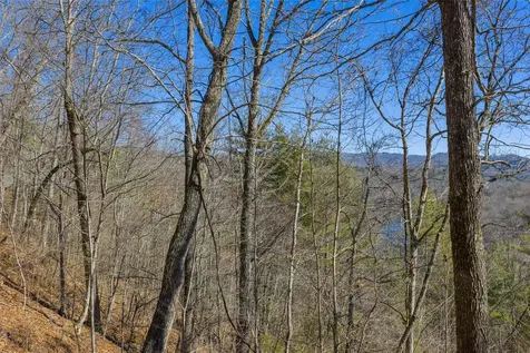 Lot 33 Wild Blackberry Ridge Cullowhee NC 28723