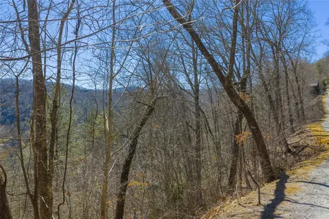 Lot 33 Wild Blackberry Ridge Cullowhee NC 28723