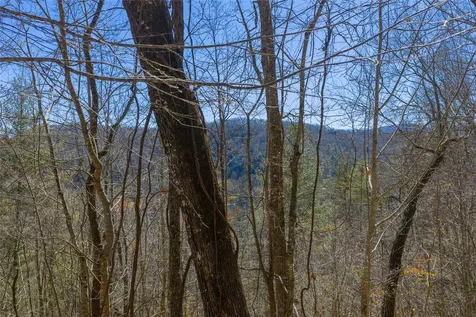 Lot 33 Wild Blackberry Ridge Cullowhee NC 28723