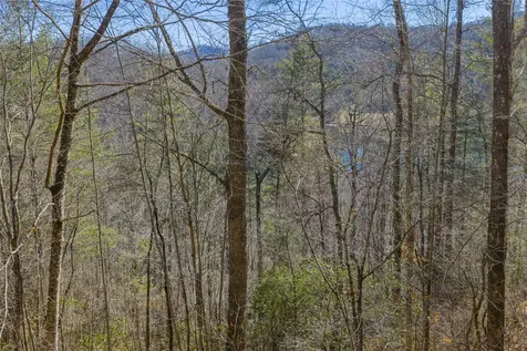 Lot 33 Wild Blackberry Ridge Cullowhee NC 28723