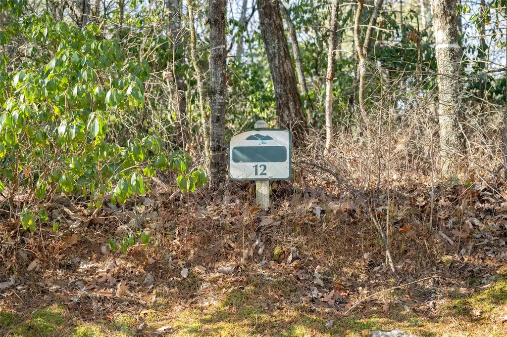 Lot 12 W Rochester Drive Cashiers NC 28717