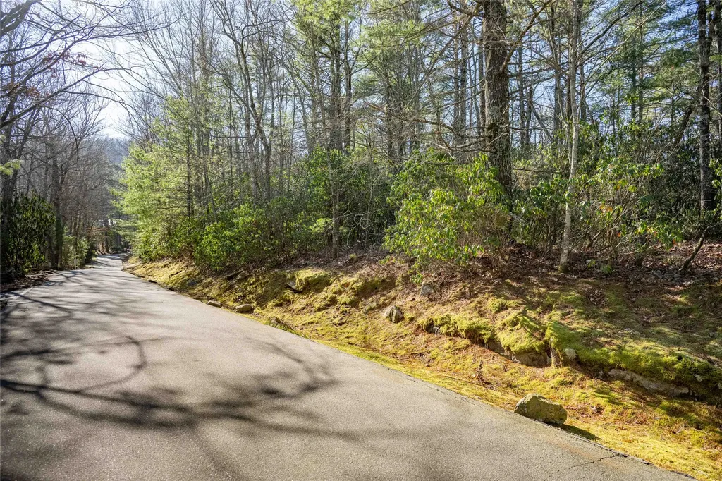 Lot 12 W Rochester Drive Cashiers NC 28717