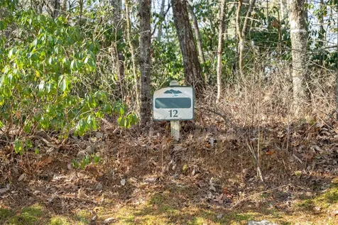 Lot 12 W Rochester Drive Cashiers NC 28717
