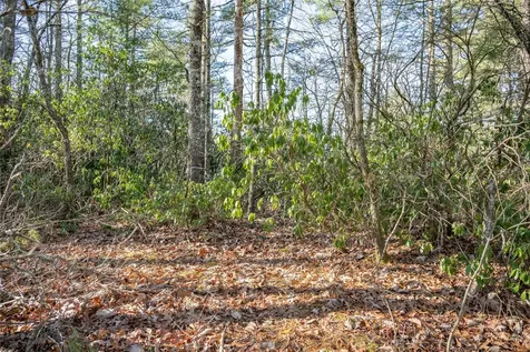 Lot 12 W Rochester Drive Cashiers NC 28717