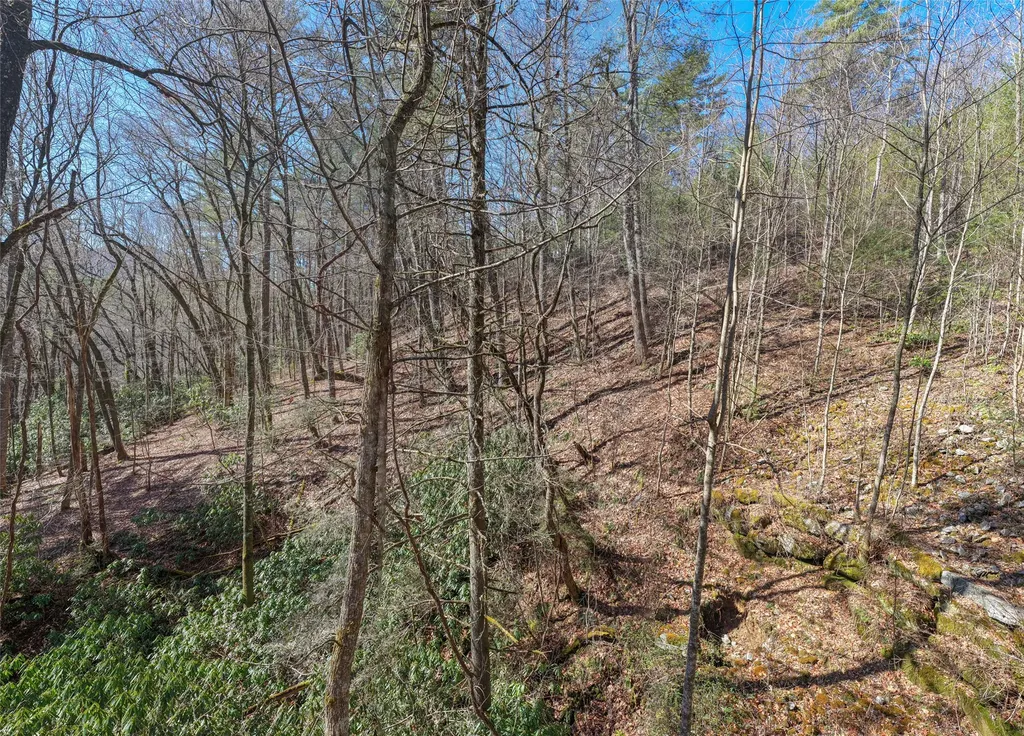 Lot 27 Heritage Drive Sapphire NC 28774