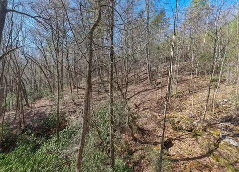Lot 27 Heritage Drive Sapphire NC 28774