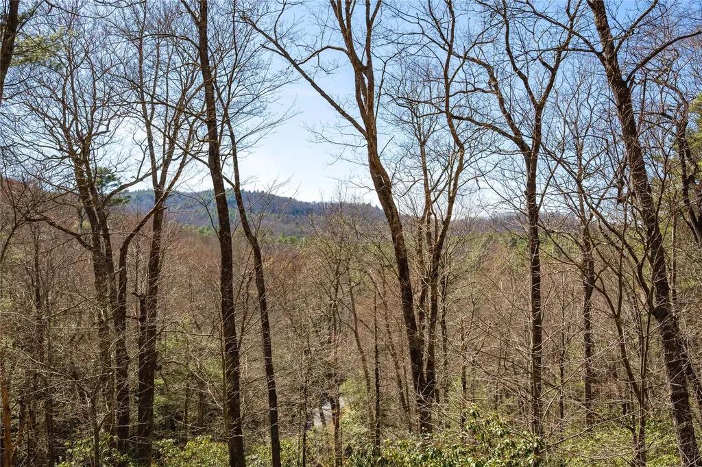 60 Pine Cone Court Sapphire NC 28774