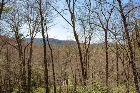 60 Pine Cone Court Sapphire NC 28774