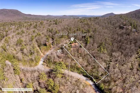 60 Pine Cone Court Sapphire NC 28774