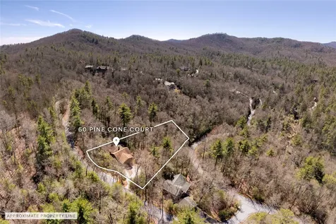 60 Pine Cone Court Sapphire NC 28774