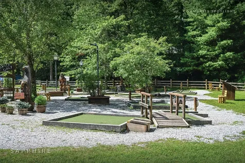 60 Pine Cone Court Sapphire NC 28774