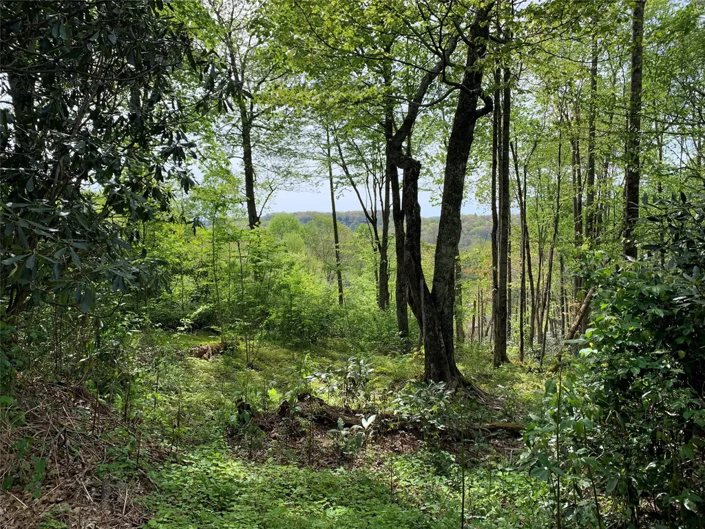 95 Oak Point Highlands NC 28741