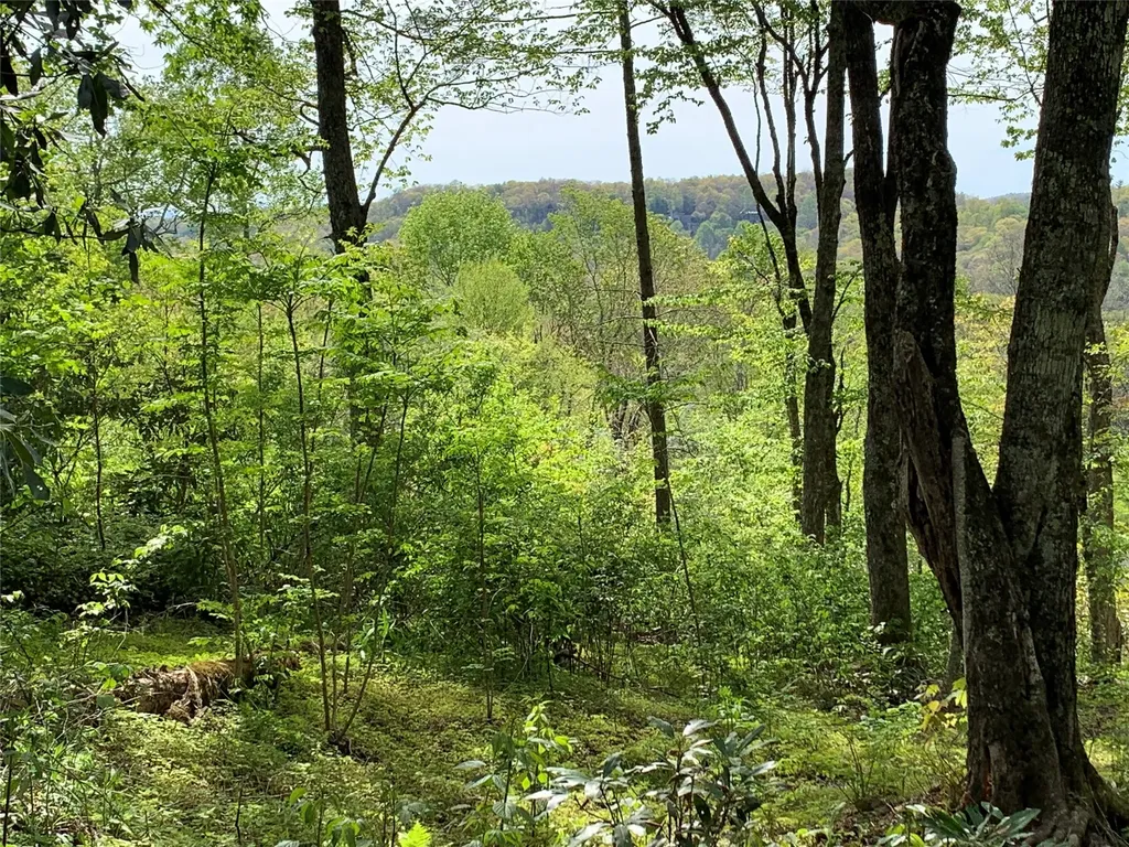 95 Oak Point Highlands NC 28741