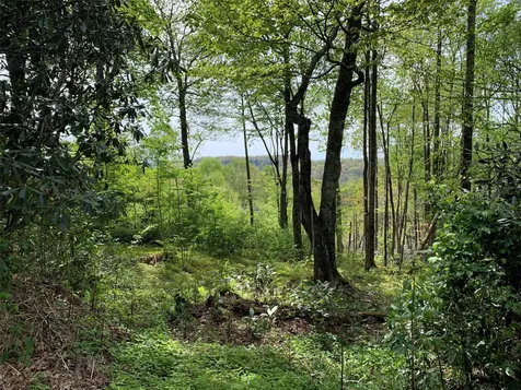 95 Oak Point Highlands NC 28741