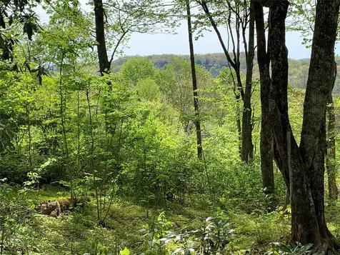 95 Oak Point Highlands NC 28741