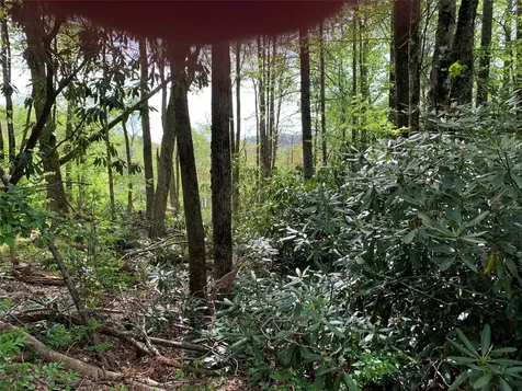 95 Oak Point Highlands NC 28741