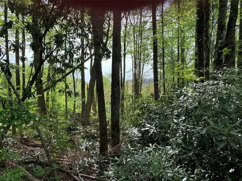 95 Oak Point Highlands NC 28741