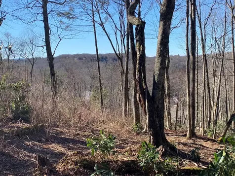 95 Oak Point Highlands NC 28741