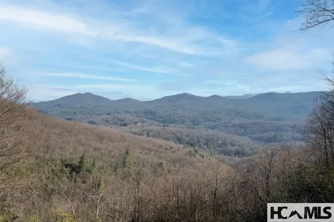 1624 Tower Road Sapphire NC 28774