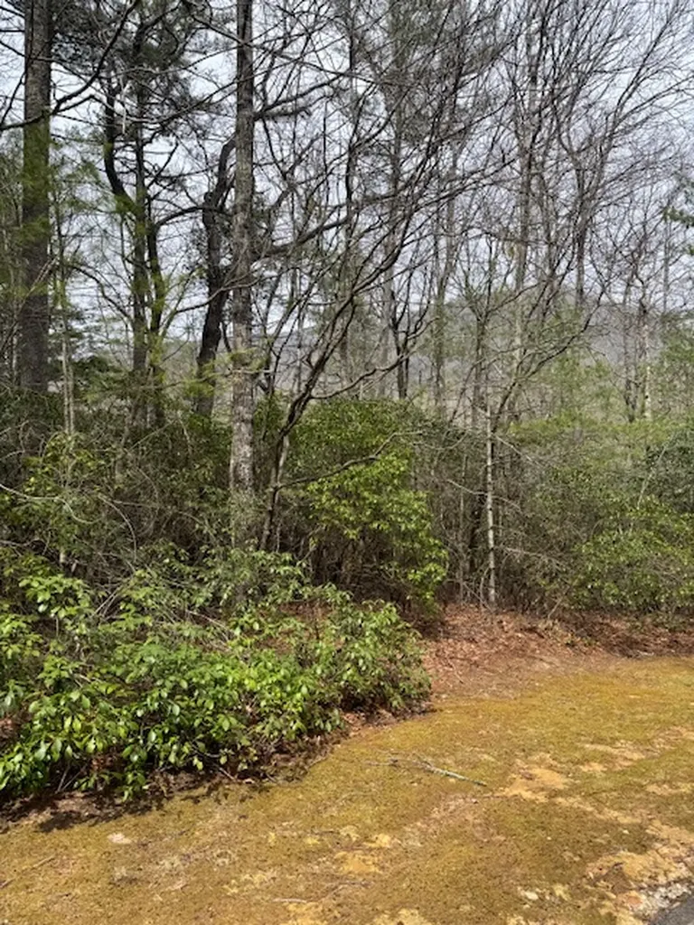 72 Big Pine Road Sapphire NC 28774